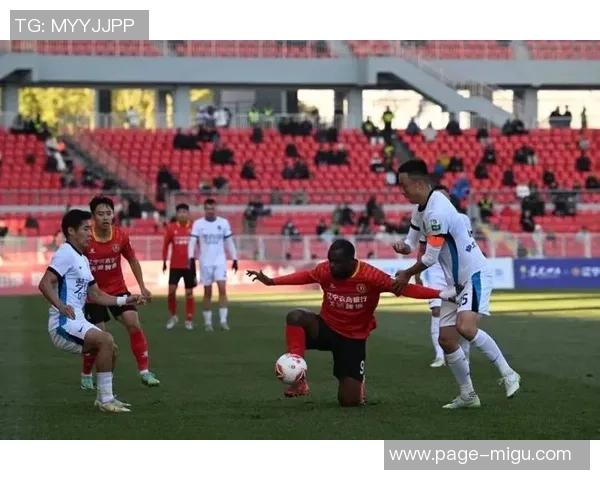 中甲联赛精彩对决辽宁队迎战石家庄队全力争胜